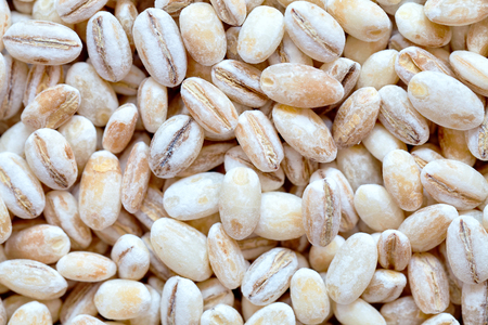 Pearl Barley Close-up Top View Macro Texture Backgroundの写真素材
