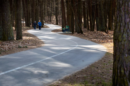 BERGAMO, ITALY - MARCH 2019: Two senior woman practising nordic walking along a path surrounded by pine forest. Concept of strengthening immunity, staying in nature, recreationのeditorial素材