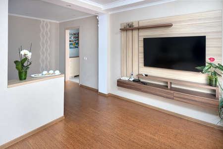 Modern apartment living room with large TV over wooden cabinet Orchid, cork floorboards and door to corridor. Real room of real estate residential house.の写真素材