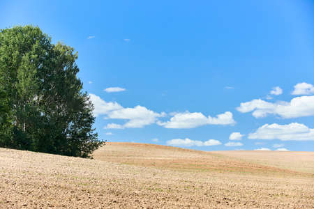 Ploughed arable plowing agricultural land plowed for crops with birch trees under blue sky with clouds conceptual background with copyspace.の写真素材
