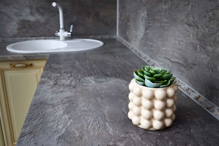 Beautiful potted echeveria on kitchen counter indoors. Succulent plant in glazed flowerpot with cracks in Scandinavian loft kitchen with sink in background. Kitchen interior.の写真素材