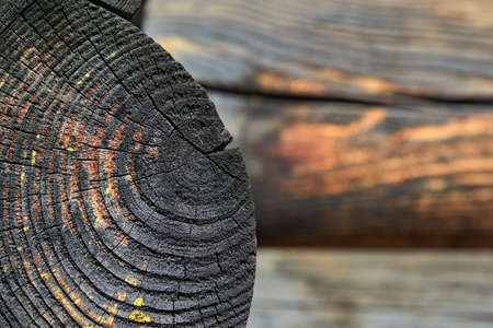 Selective focus burnt resinous wood glowing texture of rough surface felled tree weathered with annual rings over out of focus log cabin joinery, carpentry, woodwork background with copyspace.の写真素材