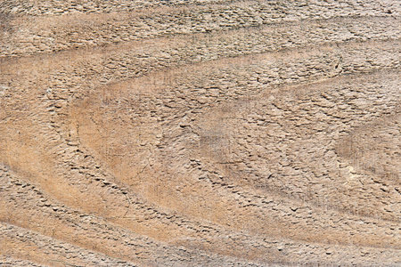 Old sandy weathered washed tainted wood texture with horizontal cracks annual rings and grains of river sand. Natural textured closeup dry plank background.の写真素材