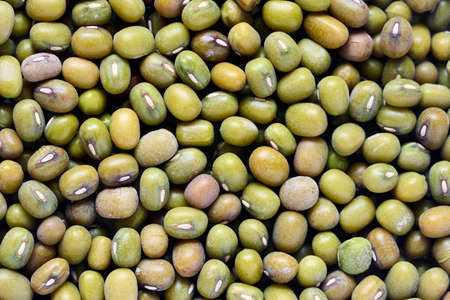 Mung bean known as green gram maash, moong, monggo, or munggo plant species in legume family, cultivated in East Asia Southeast Asia and Indian subcontinent, ingredient in savory and sweet dishesの写真素材