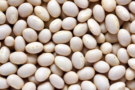 White bean texture background macro closeup. Concept of healthy eating, protein diet and vegetarianism.の写真素材