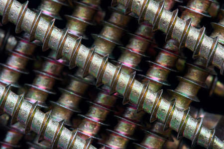Golden steel brass tapping screws galvanized with tint lined ornamental macro background pattern lying diagonal, diag, oblique, tilt, slanting, sloping slanted skew bias slash row over black, closeup.の写真素材