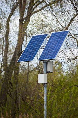 Solar battery generates clean green energy for lanterns in public park selective focus between trees. Concept of environmental conservation, combating pollution and greenhouse effect new technologies.の写真素材