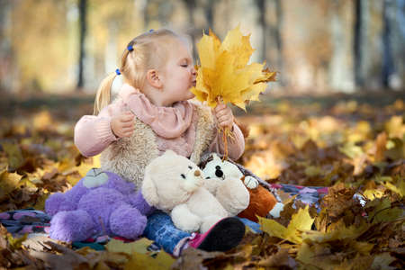 Little beautiful girl with earrings sniffs yellowed autumn maple leaves in her hand in autumn park over golden leaves with soft toys hedgehog and bear cub fall background with copyspace.の写真素材