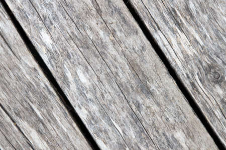 Old weathered washed tainted wood texture with diagonal cracks and twig. Natural textured closeup dry plank background.の写真素材
