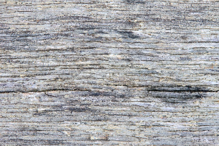 Old grey weathered rotted textured board background.の写真素材