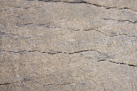 Old gray and brown sandy weathered washed tainted wood texture with horizontal cracks annual rings and grains of river sand. Natural textured closeup dry plank background.の写真素材