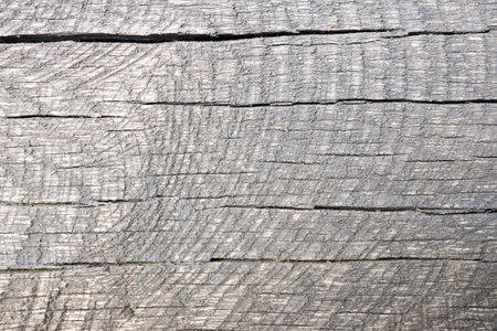 Old gray cracked weathered washed tainted wood texture with horizontal cracks with traces of sawn down. Natural textured closeup dry plank background.の写真素材