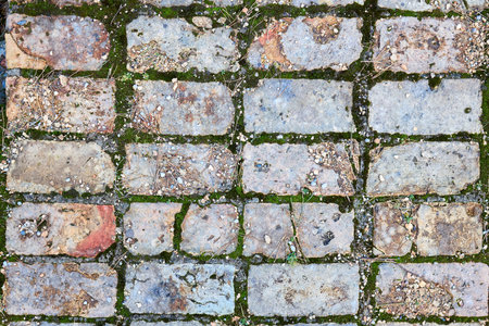 Grunge cracked orange brick floor with moss pine needles stones sand textured background.の写真素材