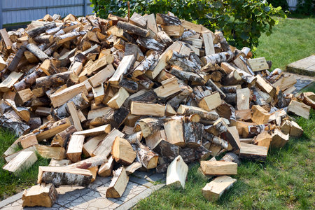Birch chopped firewood woodpile over grass near fenceの写真素材