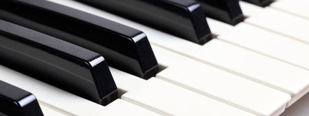 Midi keyboard keys close up shot. Piano keys buttons detail for musical design background panoramic bannerの写真素材
