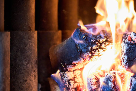 Type fuel briquettes made of birch and oak alternative environmentally friendly fuels burn fire in...