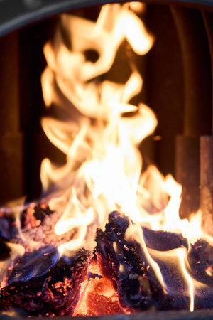 Type fuel briquettes made of birch and oak alternative environmentally friendly fuels burn fire in...