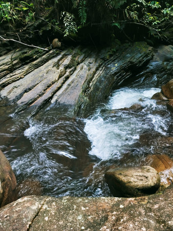 Waterfall in the forest. Beautiful waterfall in the rainforest.