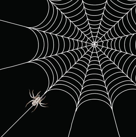 Spider and a web on a black backgroundのイラスト素材