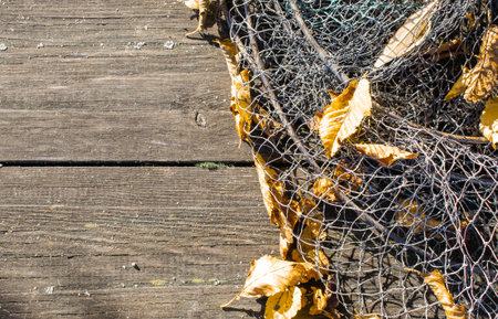 Fishing net in yellow autumn leaves on a wooden outdoor table