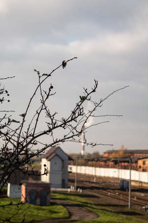 A bare tree branch against the background of a railway and a guard postの写真素材
