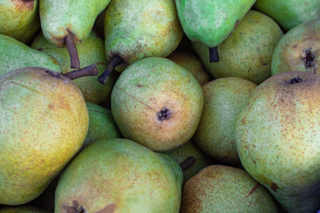 Lots of green ripe pears close up focus from above