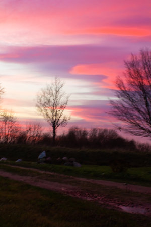 Blurred landscape of bare black trees against a backdrop of colored sky and bright cloudsの写真素材