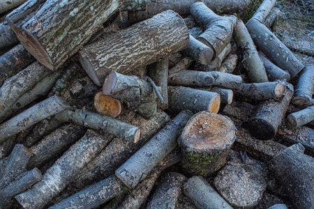 Wood and logs piled up in the street covered with snowの写真素材