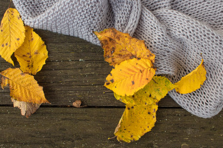 A knitted scarf is lying on a wooden table on the street next to yellow autumn leavesの写真素材