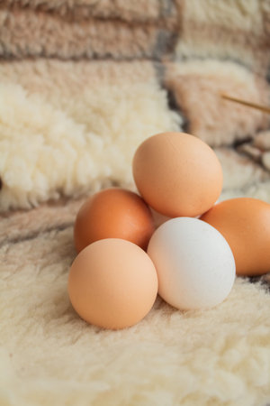 Chicken eggs against the background of fur fabric
