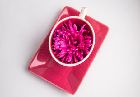 Bright bud pink chrysanthemums in a small cup with a saucerの写真素材