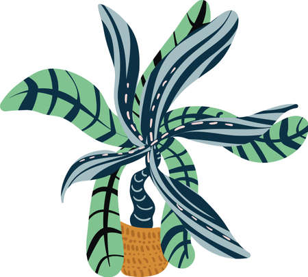 Potted tropical house plant vector illustration. Natural home decor themed clip art for embellishing cards, posters, articles, and web pages.のイラスト素材