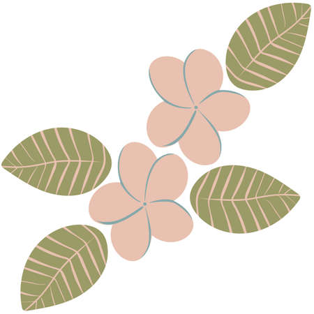 Plumeria flowers and leaves simple vector illustration. Pink tropical blooms in flat style.のイラスト素材