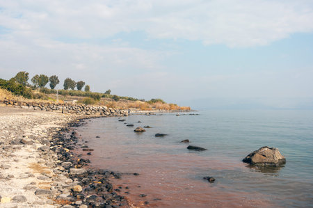 A rocky shoreline with a body of water in the background. The water is a deep red color