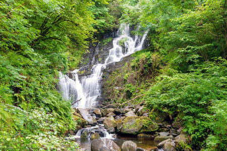 A waterfall is flowing down a rocky hillside. The water is crystal clear and the surrounding trees are lush and green. The scene is peaceful and sereneの写真素材