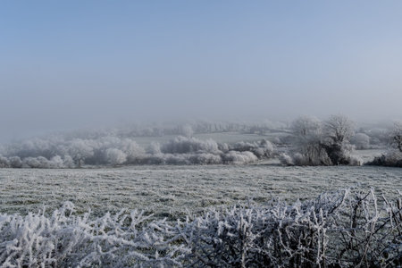 A frosty field with trees in the background. The sky is overcast and the air is coldの写真素材
