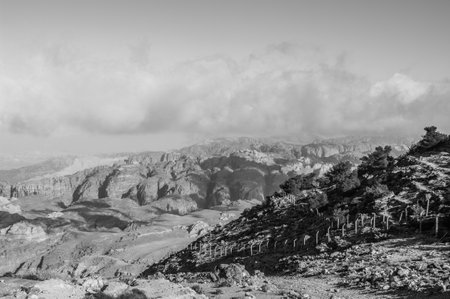 A mountain range with a cloudy sky in the background. The sky is mostly gray and the mountains are covered in treesの写真素材