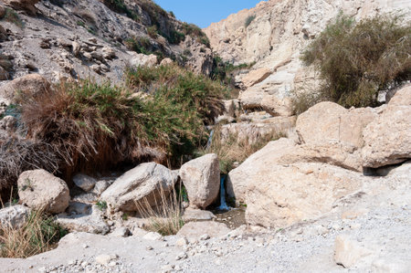 A rocky hillside with a small stream running through it. The rocks are large and scattered throughout the area. The scene is peaceful and sereneの写真素材