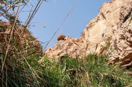 A grassy hillside in the foreground. The sky is clear and blue