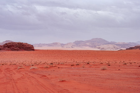 A desert landscape with a cloudy sky in the background. The sky is a mix of gray and pink, giving the scene a somewhat melancholic and serene atmosphereの写真素材