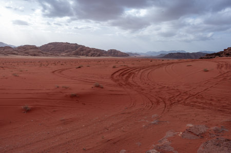 A desert landscape with a cloudy sky in the background. The sky is overcast and the sun is barely...
