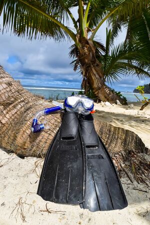 Snorkeling equipment placed near the palm on the beach in Seychellesの写真素材