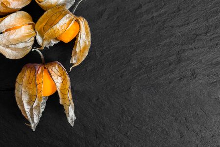 Cape Gooseberries with shells on black rock surface background with the free paceの写真素材