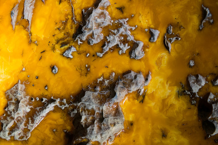 Background of old and yellow amber. Amber is fossilized tree resin, which has been appreciated for its color and natural beauty since Neolithic timesの写真素材