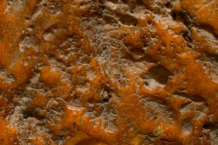 Background of old and yellow amber. Amber is fossilized tree resin, which has been appreciated for its color and natural beauty since Neolithic timesの写真素材