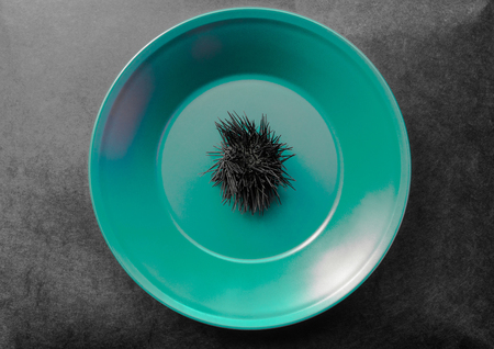 Black dried up sea urchin in green plate which placed on black background surfaceの写真素材
