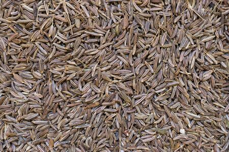 Close up dry caraway seeds background surfaceの写真素材