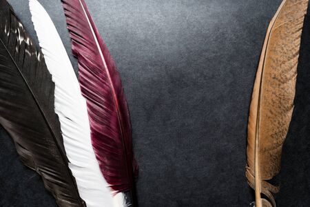 Colorful black background surface with big brown, white, burgundy and black feathersの写真素材