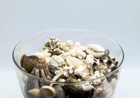 Glass filled with seashells, corals and beach sand in white background