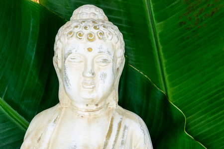 Portrait of Buddha statue with the fresh green banana leaves in background surface with free spaceの写真素材